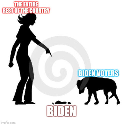 Biden is a pile of it | THE ENTIRE REST OF THE COUNTRY; BIDEN VOTERS; BIDEN | image tagged in afghanistan,disaster,joe biden,shitpost | made w/ Imgflip meme maker