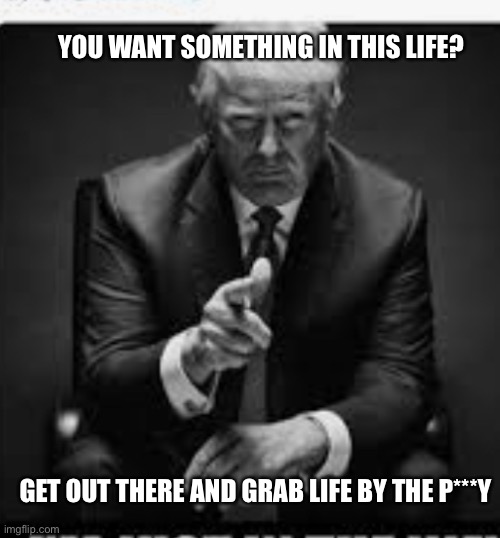 Grab it!! | YOU WANT SOMETHING IN THIS LIFE? GET OUT THERE AND GRAB LIFE BY THE P***Y | image tagged in trump,life,reality | made w/ Imgflip meme maker