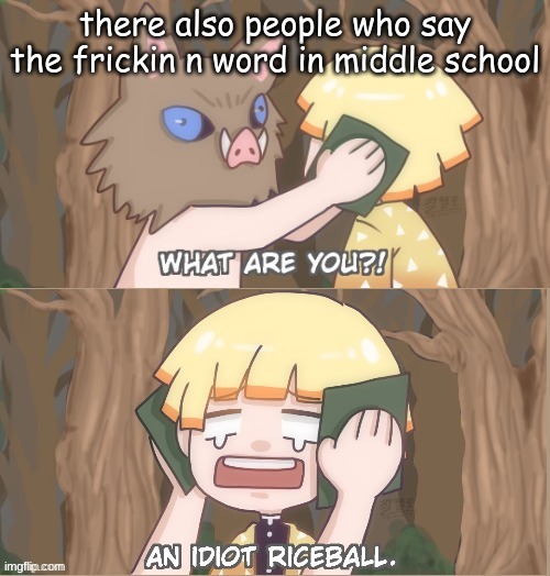 my school really weird | there also people who say the frickin n word in middle school | image tagged in an idiot riceball | made w/ Imgflip meme maker