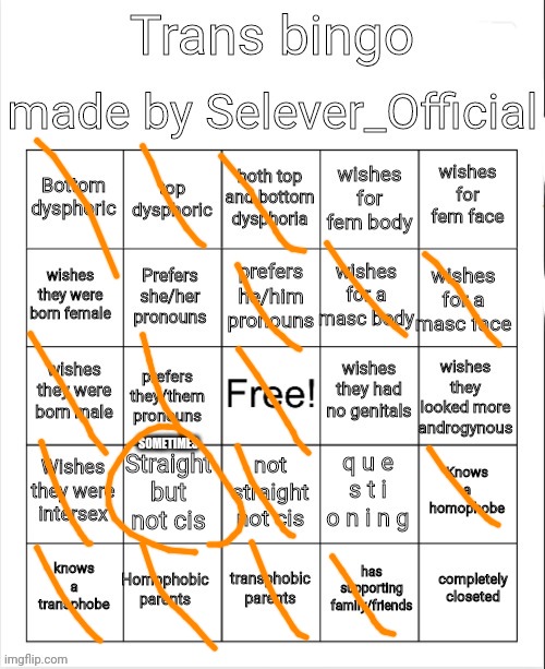 Trans Bingo | SOMETIMES | image tagged in trans bingo | made w/ Imgflip meme maker