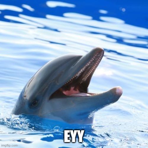 dolphin ayy lmao | EYY | image tagged in dolphin ayy lmao | made w/ Imgflip meme maker