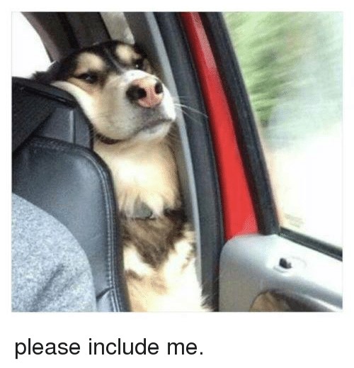 Dog in the back seat Blank Meme Template