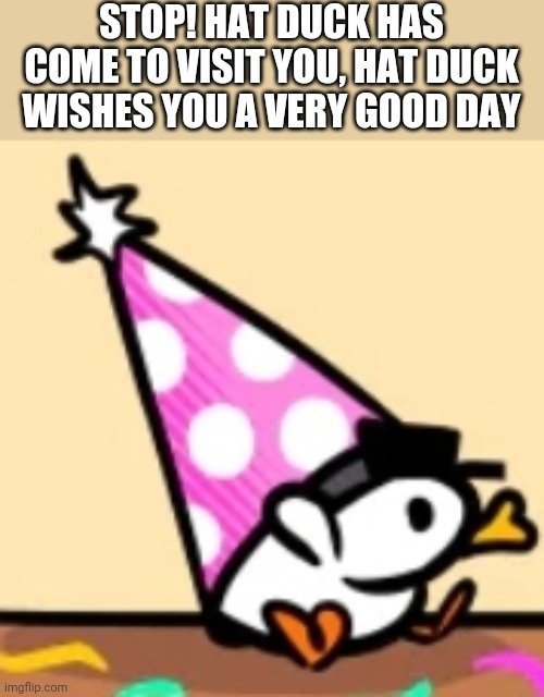 Hat duck | STOP! HAT DUCK HAS COME TO VISIT YOU, HAT DUCK WISHES YOU A VERY GOOD DAY | image tagged in hat duck,memes,funny,good day | made w/ Imgflip meme maker