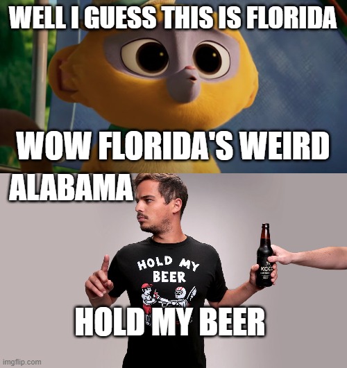 you'd only get it if youve seen the movie | WELL I GUESS THIS IS FLORIDA; WOW FLORIDA'S WEIRD; ALABAMA; HOLD MY BEER | image tagged in vivo in florida,hold my beer | made w/ Imgflip meme maker