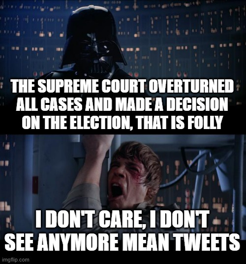 A sad reality: Ending up with a president who let a country fall in a worst case scenario | THE SUPREME COURT OVERTURNED ALL CASES AND MADE A DECISION ON THE ELECTION, THAT IS FOLLY; I DON'T CARE, I DON'T SEE ANYMORE MEAN TWEETS | image tagged in memes,star wars no | made w/ Imgflip meme maker