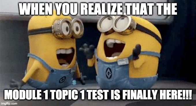 Excited Minions Meme | WHEN YOU REALIZE THAT THE; MODULE 1 TOPIC 1 TEST IS FINALLY HERE!!! | image tagged in memes,excited minions | made w/ Imgflip meme maker