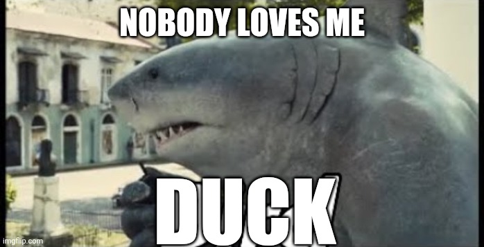 King shark bird | NOBODY LOVES ME; DUCK | image tagged in king shark bird | made w/ Imgflip meme maker