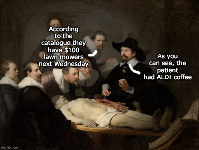 ALDI coffee | According to the catalogue they have $100 lawn mowers next Wednesday; As you can see, the patient had ALDI coffee | image tagged in aldi,coffee,classical art | made w/ Imgflip meme maker