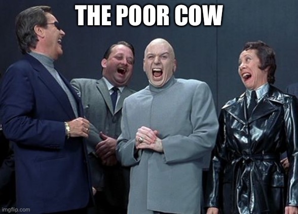 Laughing Villains Meme | THE POOR COW | image tagged in memes,laughing villains | made w/ Imgflip meme maker