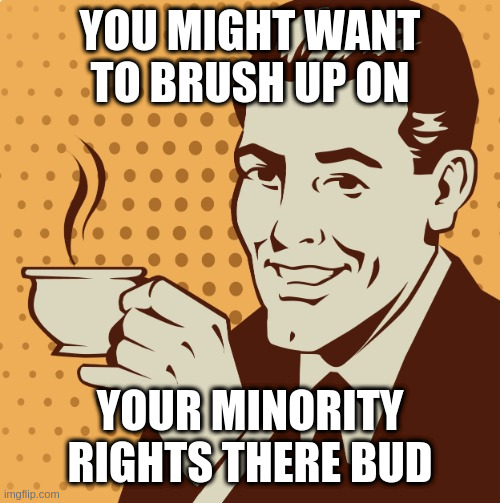 When a conservative says they stand for protecting minority rights | YOU MIGHT WANT TO BRUSH UP ON YOUR MINORITY RIGHTS THERE BUD | image tagged in mug approval | made w/ Imgflip meme maker