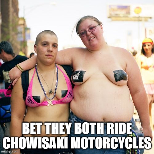 Biker Dyke | BET THEY BOTH RIDE CHOWISAKI MOTORCYCLES | image tagged in real lesbians | made w/ Imgflip meme maker