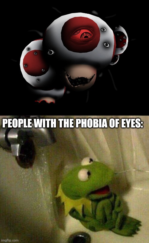 PEOPLE WITH THE PHOBIA OF EYES: | image tagged in kermit crying terrified in shower | made w/ Imgflip meme maker