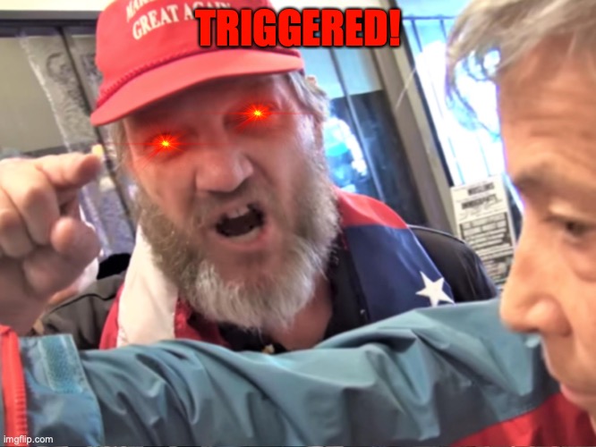 Angry Trump Supporter | TRIGGERED! | image tagged in angry trump supporter | made w/ Imgflip meme maker