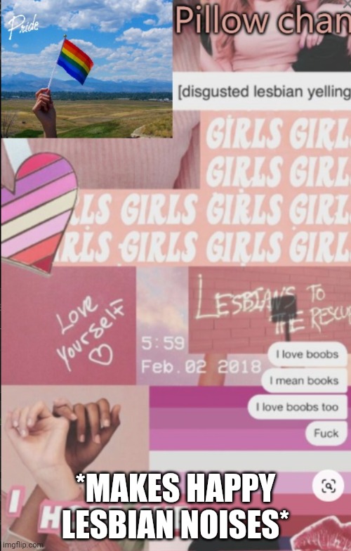 Hi | *MAKES HAPPY LESBIAN NOISES* | image tagged in lesbian | made w/ Imgflip meme maker