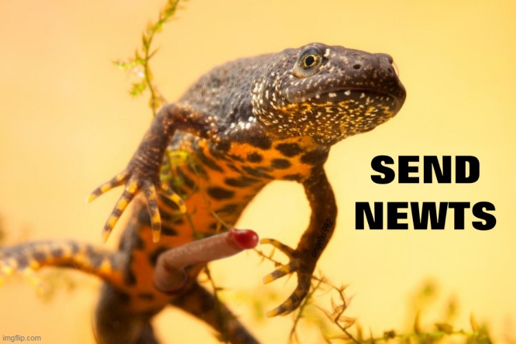 image tagged in newts,nudes,dildo,sex toys,amphibians,dick pic | made w/ Imgflip meme maker