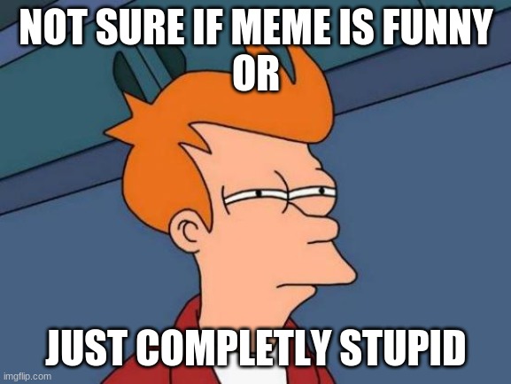 my frist meme | NOT SURE IF MEME IS FUNNY
OR; JUST COMPLETLY STUPID | image tagged in memes,futurama fry | made w/ Imgflip meme maker