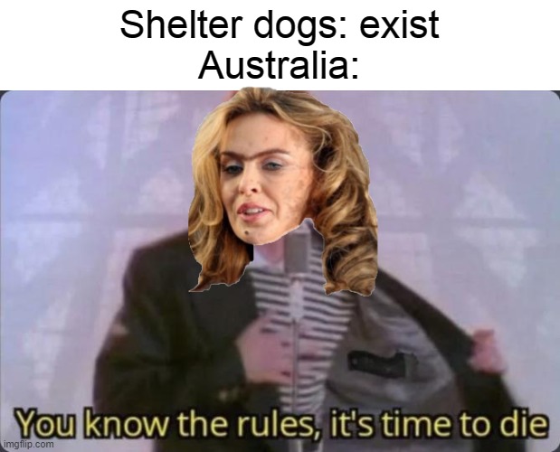 You know the rules, it's time to die | Shelter dogs: exist
Australia: | image tagged in you know the rules it's time to die | made w/ Imgflip meme maker