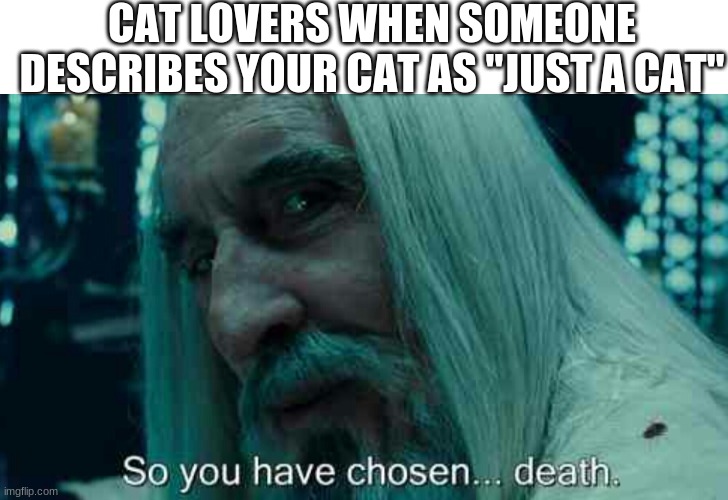 CAT LOVERS WHEN SOMEONE DESCRIBES YOUR CAT AS "JUST A CAT" | image tagged in blank white template,so you have chosen death | made w/ Imgflip meme maker