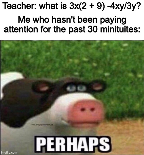 goops | Teacher: what is 3x(2 + 9) -4xy/3y? Me who hasn't been paying attention for the past 30 minituites: | image tagged in perhaps cow,school,math | made w/ Imgflip meme maker