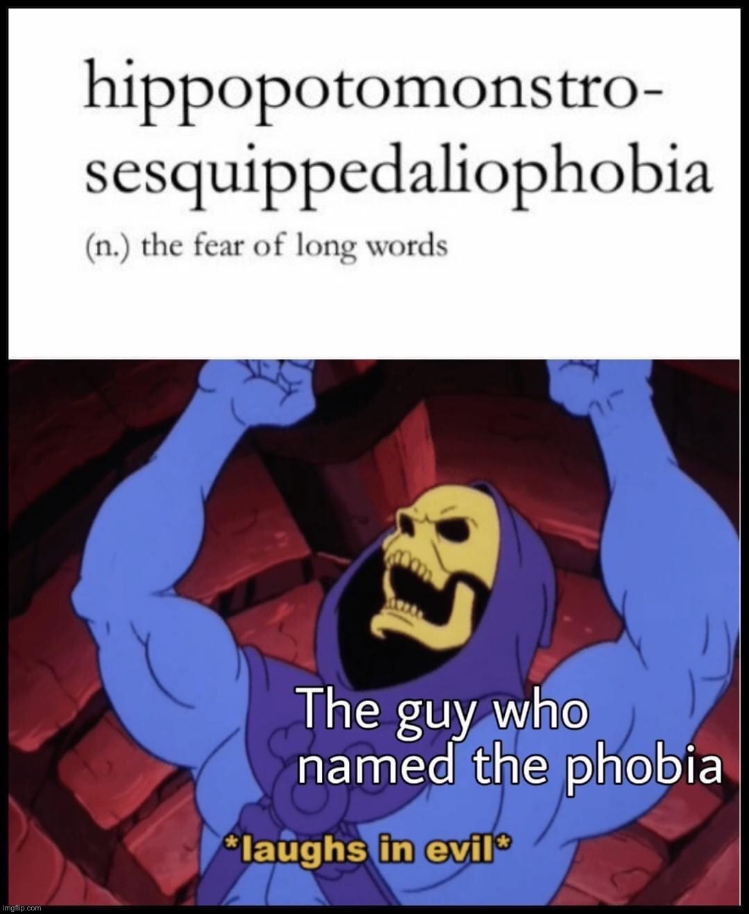 Fear of long words | image tagged in fear of long words | made w/ Imgflip meme maker