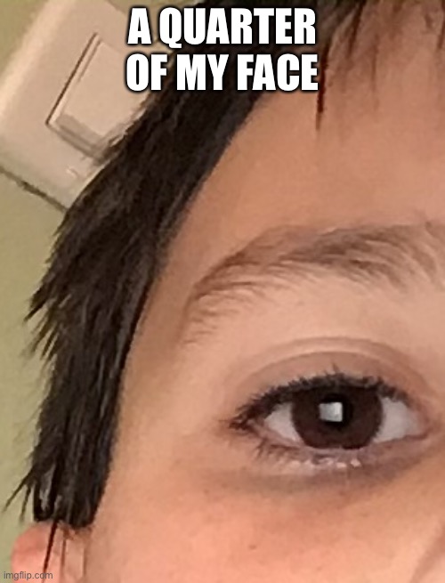 25 upvotes and I’ll do half! | A QUARTER OF MY FACE | made w/ Imgflip meme maker
