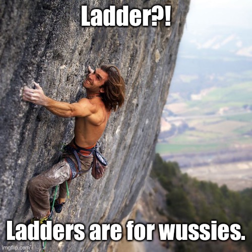 Mountain climber | Ladder?! Ladders are for wussies. | image tagged in mountain climber | made w/ Imgflip meme maker