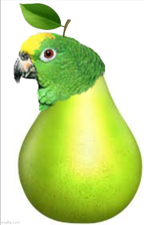PEARrot | image tagged in pear,parrot,funny,cursed image | made w/ Imgflip meme maker