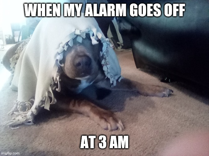 When my alarm goes off at 3 AM | WHEN MY ALARM GOES OFF; AT 3 AM | image tagged in funnymeme | made w/ Imgflip meme maker