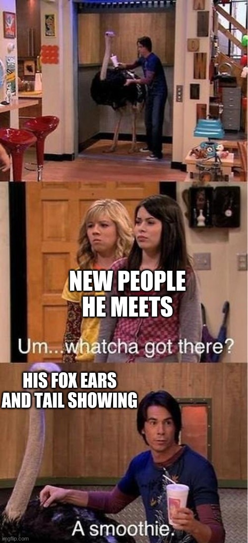 tom when he was younger and not used to having fox features | NEW PEOPLE HE MEETS; HIS FOX EARS AND TAIL SHOWING | image tagged in whatcha got there | made w/ Imgflip meme maker