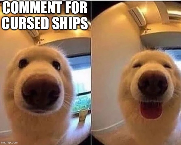 wholesome doggo | COMMENT FOR CURSED SHIPS | image tagged in wholesome doggo | made w/ Imgflip meme maker