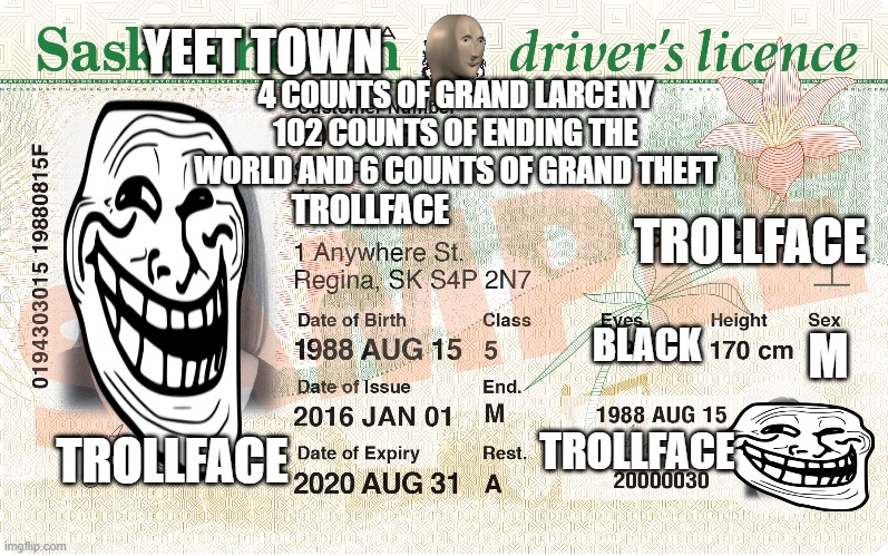 Trollfaces drivers license | 4 COUNTS OF GRAND LARCENY 102 COUNTS OF ENDING THE WORLD AND 6 COUNTS OF GRAND THEFT; YEET TOWN; TROLLFACE; TROLLFACE; BLACK; M; TROLLFACE; TROLLFACE | image tagged in trollface | made w/ Imgflip meme maker