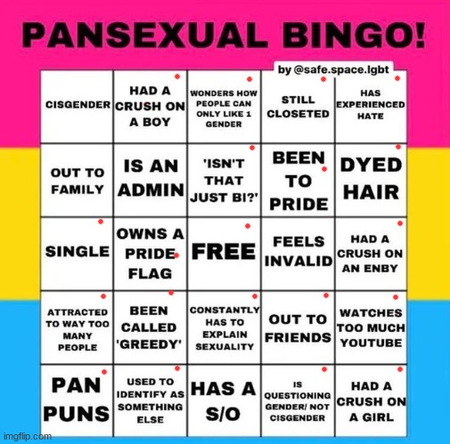 im ONLY out to friends, but yeah dis is me lol | image tagged in pansexual bingo | made w/ Imgflip meme maker