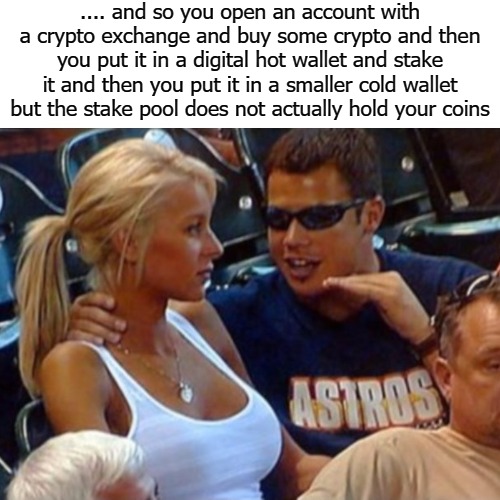 .... and so you open an account with a crypto exchange and buy some crypto and then you put it in a digital hot wallet and stake it and then you put it in a smaller cold wallet but the stake pool does not actually hold your coins | image tagged in bite coins | made w/ Imgflip meme maker