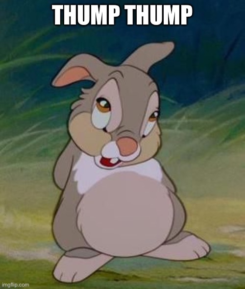 Thumper | THUMP THUMP | image tagged in thumper | made w/ Imgflip meme maker