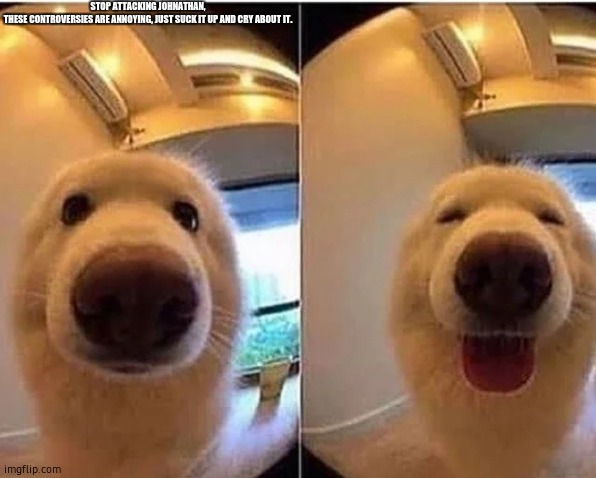 wholesome doggo | STOP ATTACKING JOHNATHAN, THESE CONTROVERSIES ARE ANNOYING, JUST SUCK IT UP AND CRY ABOUT IT. | image tagged in wholesome doggo | made w/ Imgflip meme maker