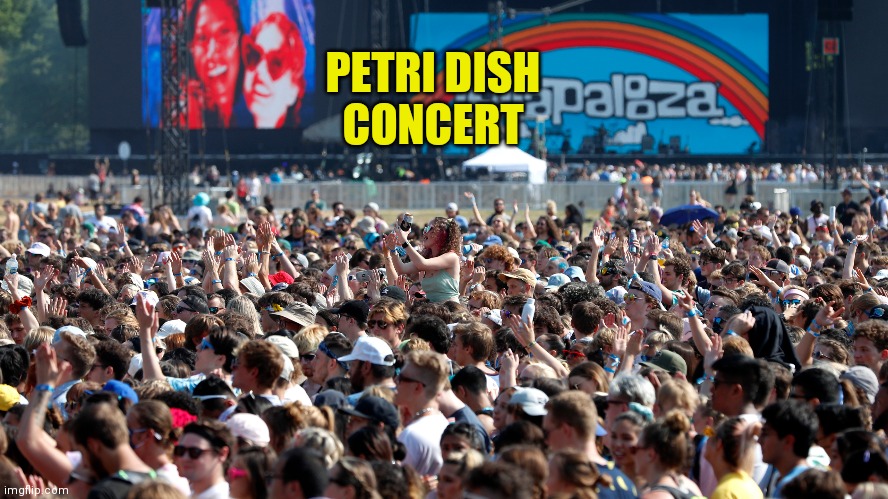 PETRI DISH
CONCERT | made w/ Imgflip meme maker