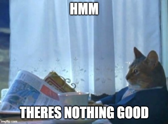 bored | HMM; THERES NOTHING GOOD | image tagged in memes,i should buy a boat cat | made w/ Imgflip meme maker