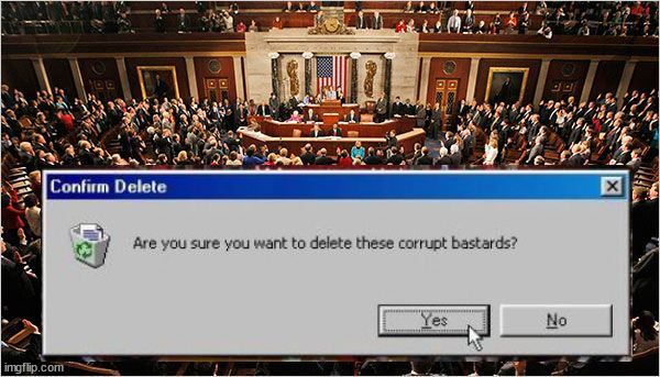 Get rid of them all. Delete, delete, delete | image tagged in congress,delete | made w/ Imgflip meme maker
