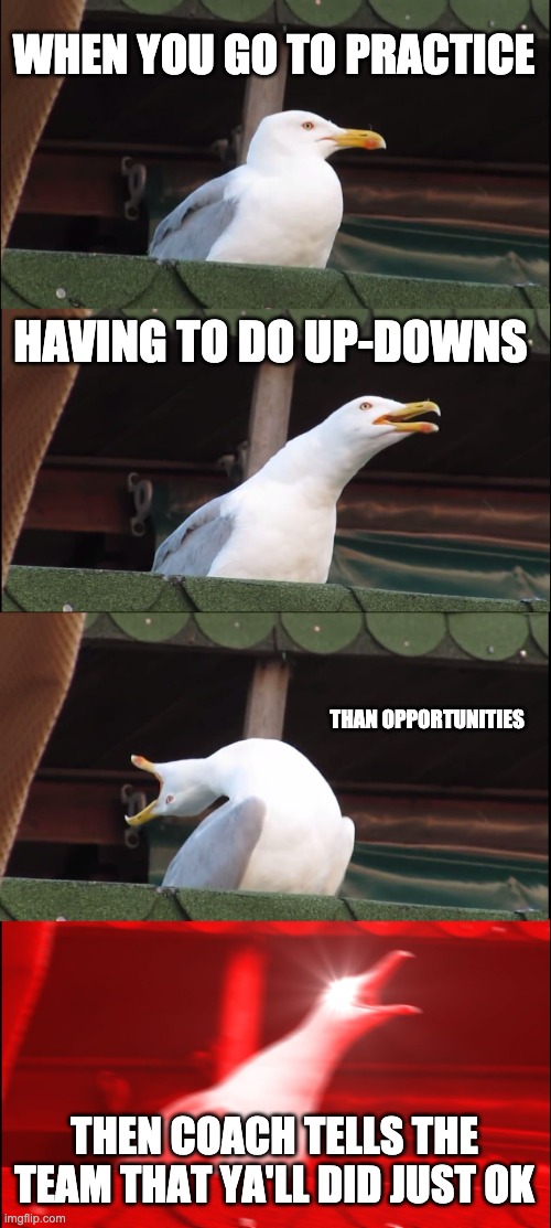 Football | WHEN YOU GO TO PRACTICE; HAVING TO DO UP-DOWNS; THAN OPPORTUNITIES; THEN COACH TELLS THE TEAM THAT YA'LL DID JUST OK | image tagged in memes,inhaling seagull | made w/ Imgflip meme maker