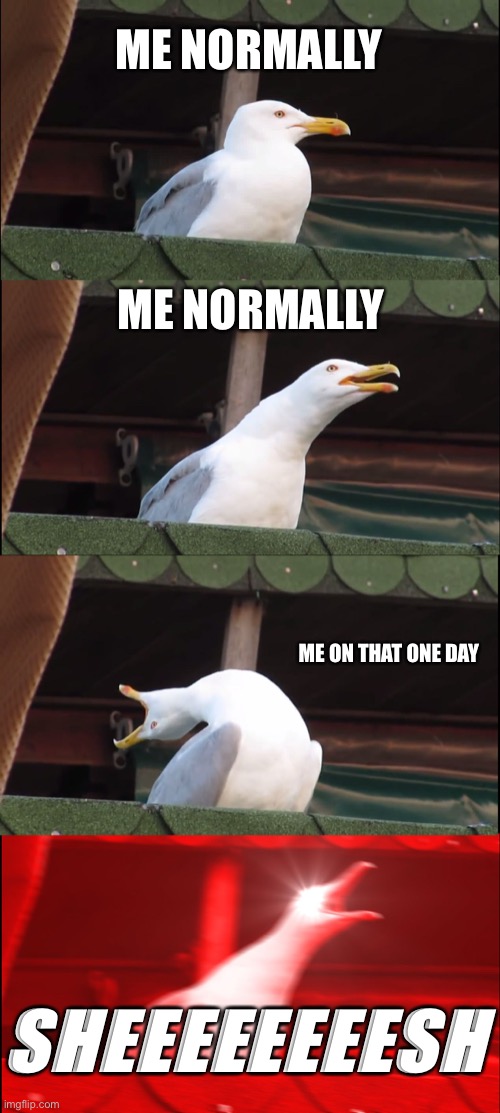 Sheeeeeeeeeeeee- | ME NORMALLY; ME NORMALLY; ME ON THAT ONE DAY; SHEEEEEEEESH | image tagged in memes,inhaling seagull | made w/ Imgflip meme maker