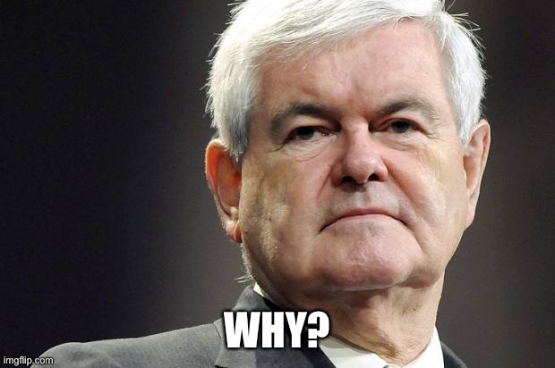 Newt gingrich | WHY? | image tagged in newt gingrich | made w/ Imgflip meme maker