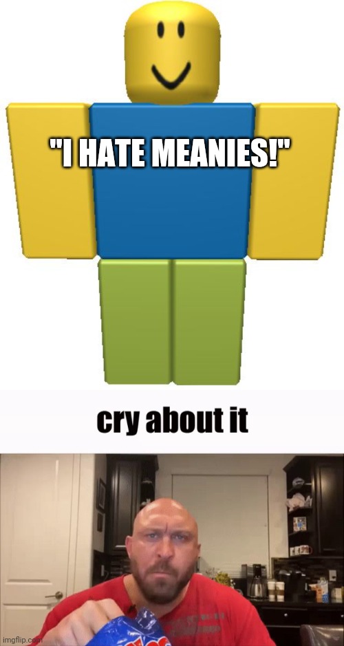 "I HATE MEANIES!" | image tagged in roblox noob,cry about it | made w/ Imgflip meme maker