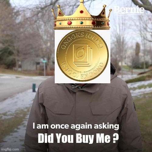 Onooks will lead to a successful life for ordinary people in the future. | Did You Buy Me ? | image tagged in onooks,ooks,bitcoin,ethereum,cryptocurrency,coin | made w/ Imgflip meme maker
