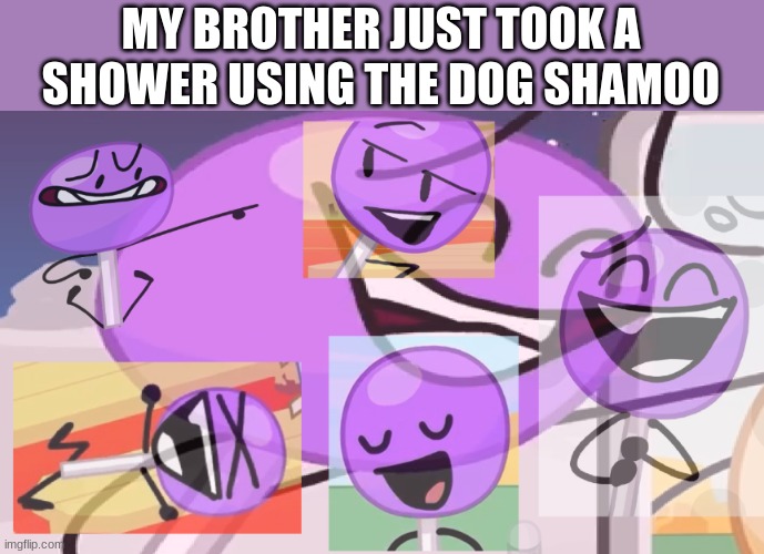 IDIOT | MY BROTHER JUST TOOK A SHOWER USING THE DOG SHAMOO | image tagged in lollipop | made w/ Imgflip meme maker