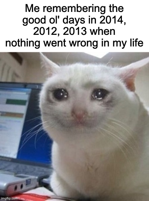 I miss those years... | Me remembering the good ol' days in 2014, 2012, 2013 when nothing went wrong in my life | image tagged in crying cat,nostalgia | made w/ Imgflip meme maker