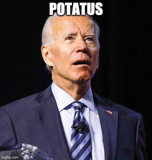 Joe Biden | POTATUS | image tagged in joe biden | made w/ Imgflip meme maker