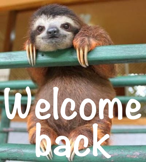 cute sloth | Welcome back | image tagged in cute sloth | made w/ Imgflip meme maker