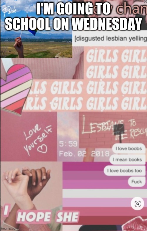 I don't wanna | I'M GOING TO SCHOOL ON WEDNESDAY | image tagged in lesbian | made w/ Imgflip meme maker