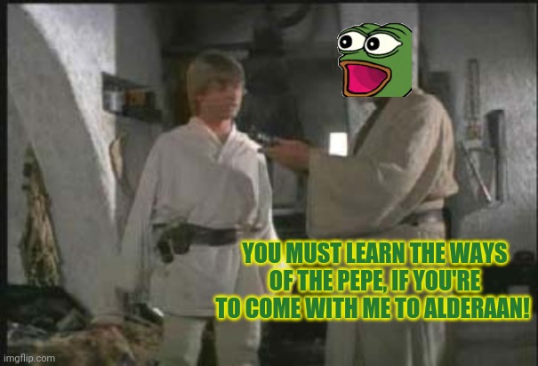 Pepe is still best frog party | YOU MUST LEARN THE WAYS OF THE PEPE, IF YOU'RE TO COME WITH ME TO ALDERAAN! | image tagged in obi won,pepe the frog | made w/ Imgflip meme maker