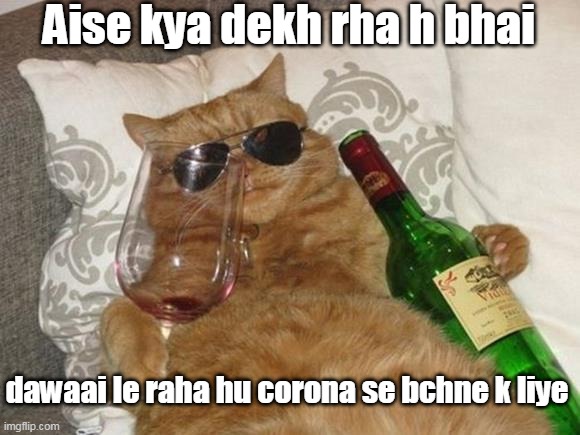Funny Cat Birthday | Aise kya dekh rha h bhai; dawaai le raha hu corona se bchne k liye | image tagged in funny cat birthday,lol,funny,memes,funny memes,cat memes | made w/ Imgflip meme maker